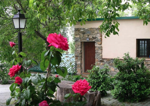 Imagen de un rosal en primer plano con una casa de fondo con decorados de piedra.